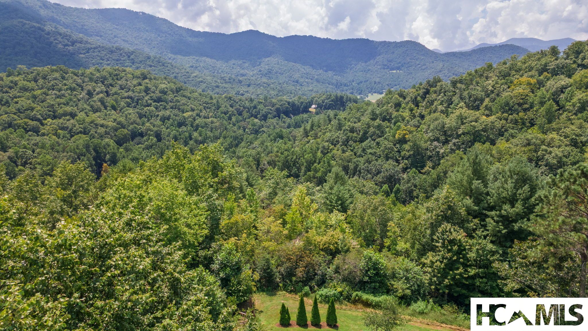 176 Battle Branch Road Franklin, NC 28734 - Photo 78 of 93 Gallery Image 78