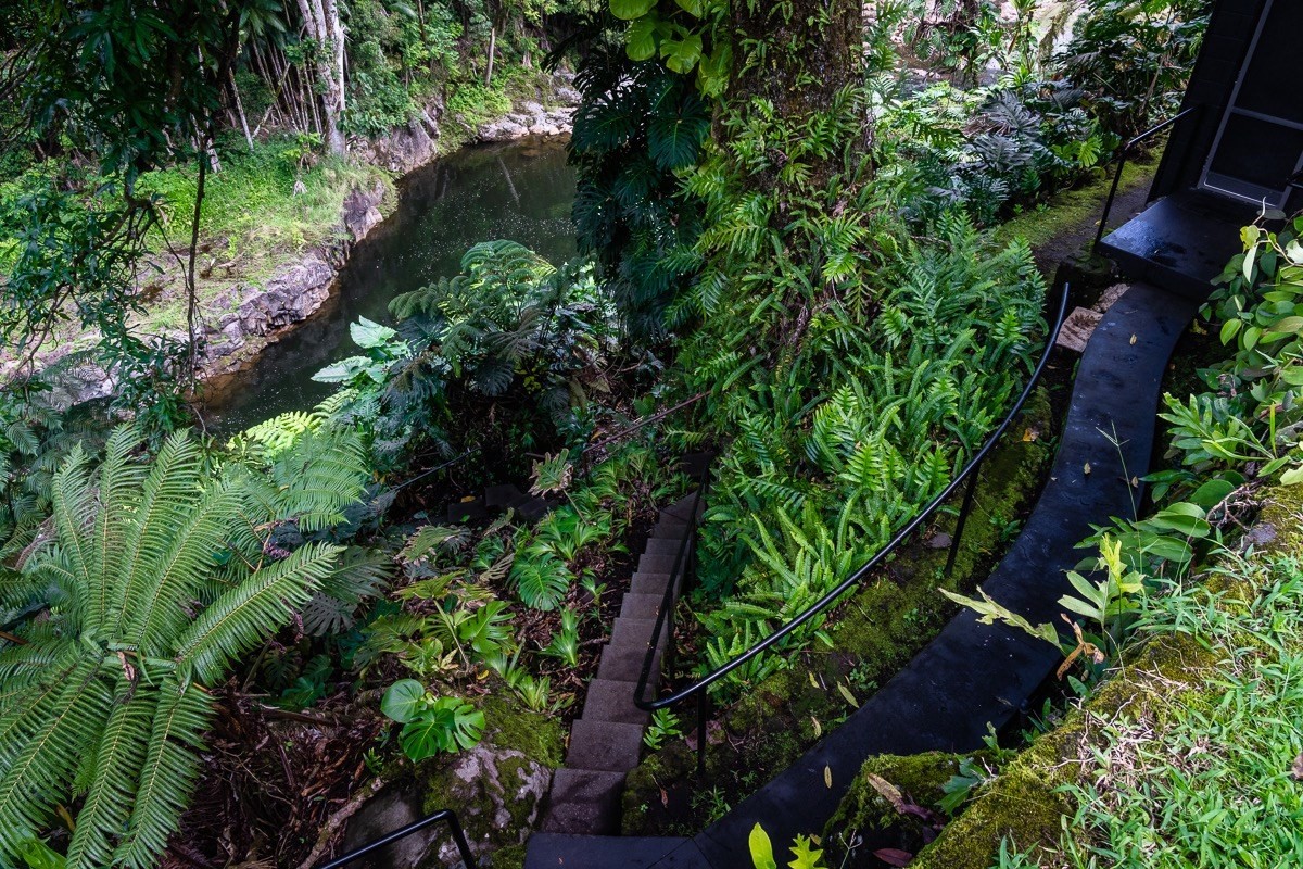 286 Kaiulani Street Hilo, HI 96720 - Photo 17 of 29