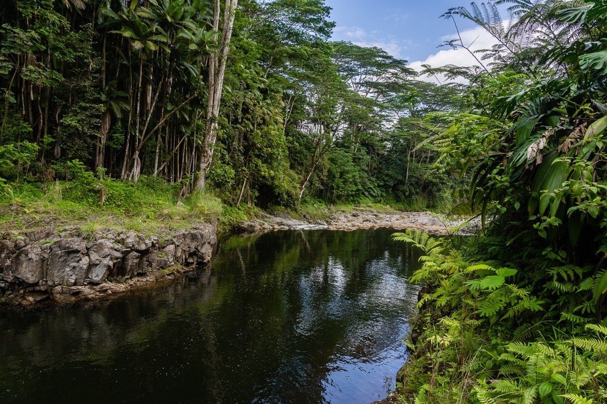 286 Kaiulani Street Hilo, HI 96720 - Photo 29 of 29