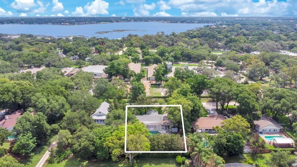 412 Forest Street Windermere, FL 34786 - Photo 3 of 34 an aerial view of house with yard