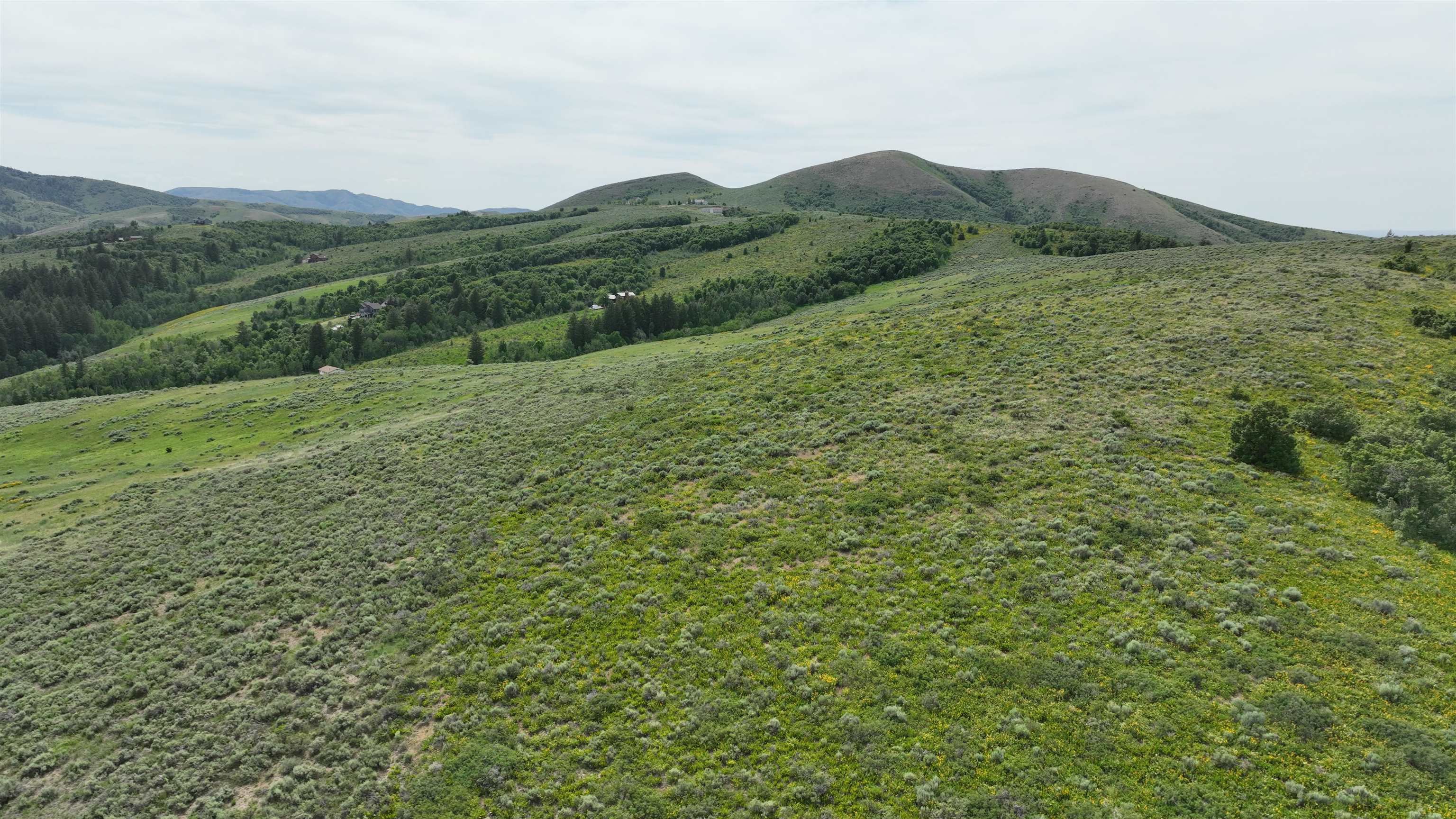 West Buckskin Road Pocatello, ID 83201 - Photo 8 of 41 Gallery Image 8