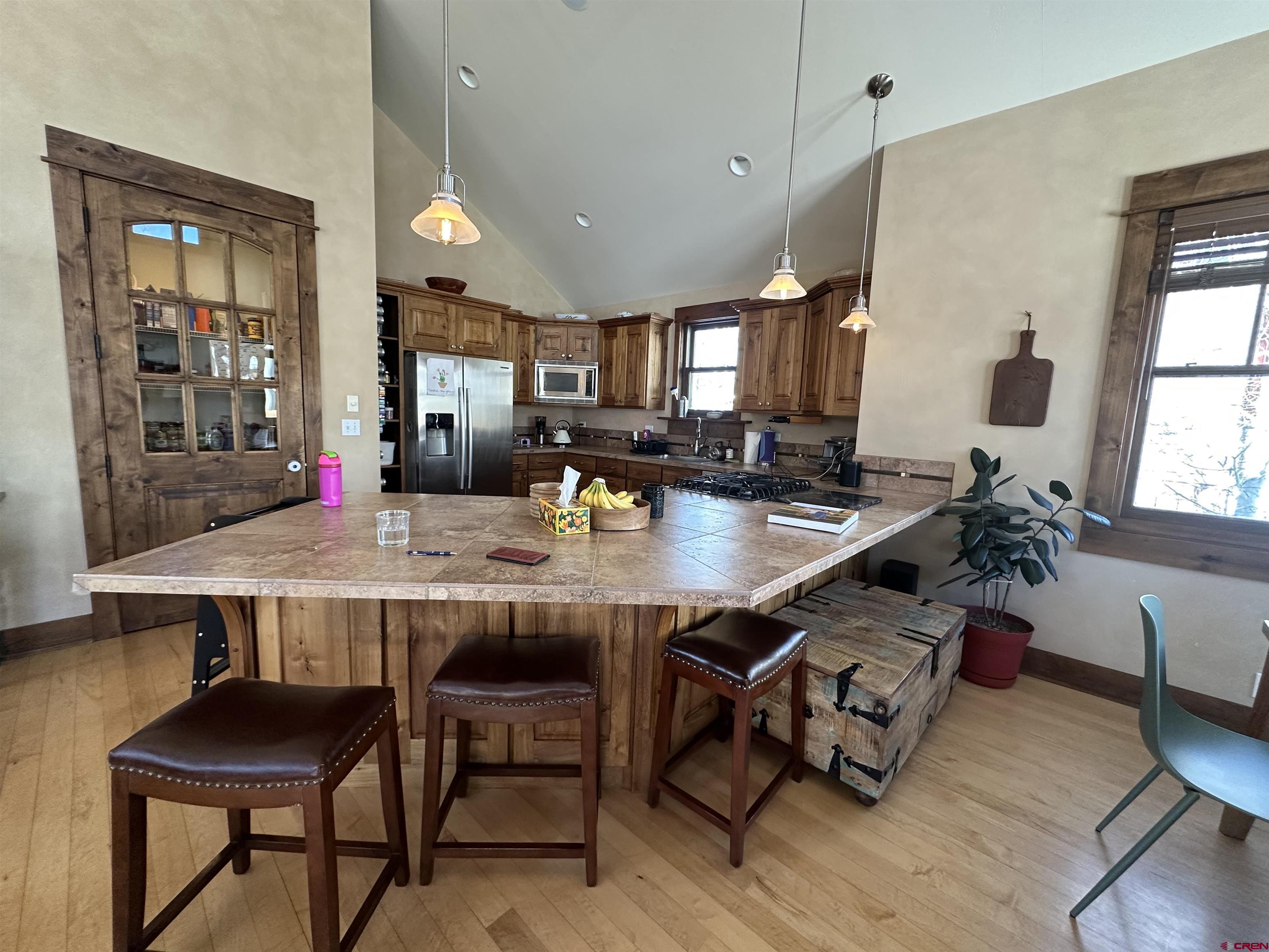 111 Alpine Court Crested Butte, CO 81224 - Photo 3 of 42
