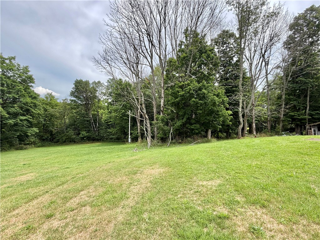 379 Watrus Road Greene, NY 13778 - Photo 26 of 30 Gallery Image 26