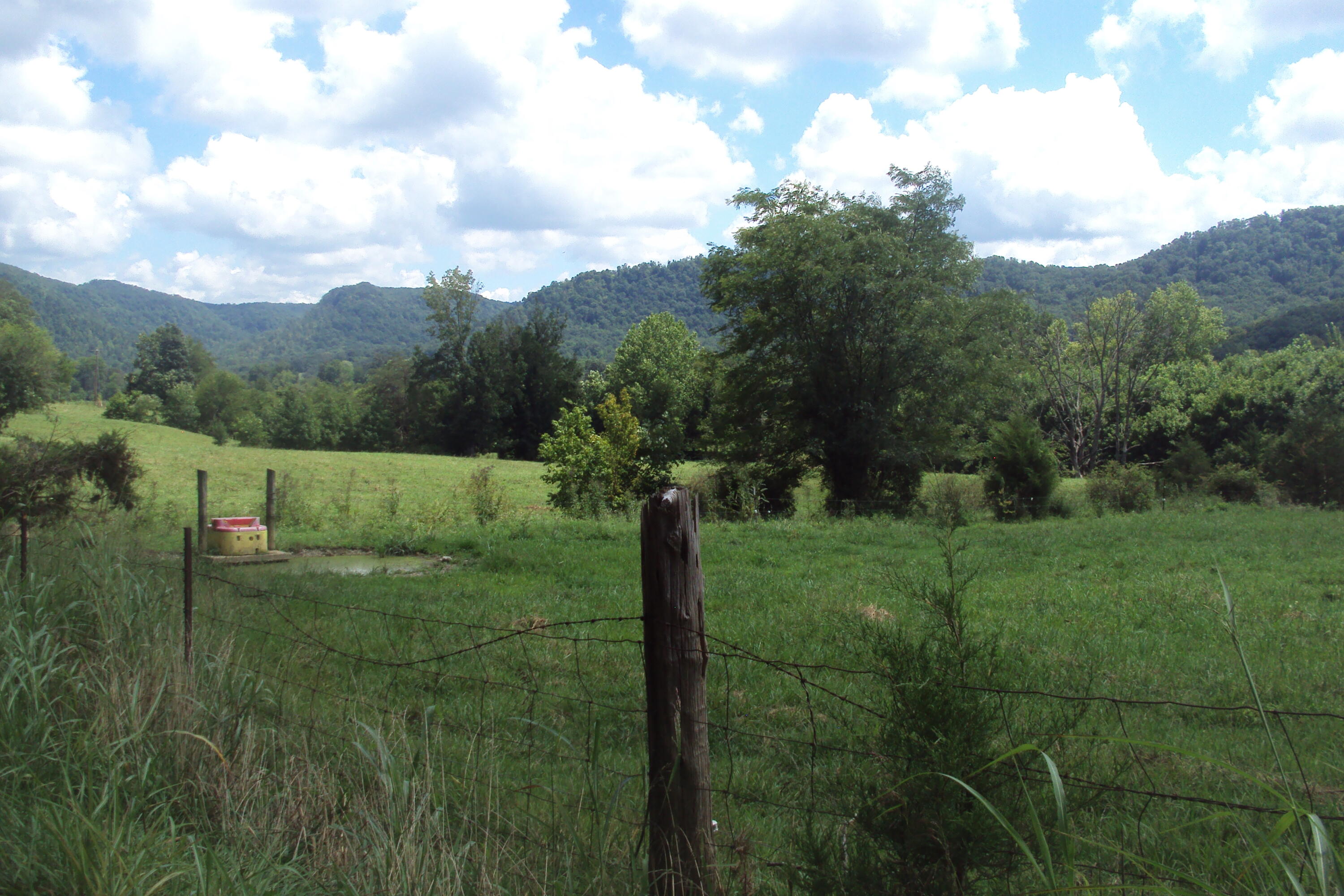 1 Red Lick Road Irvine, KY 40336 - Photo 16 of 48 DSC03953