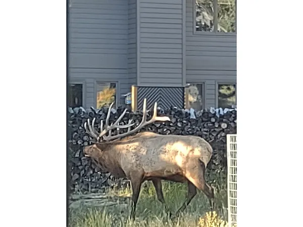 $975,000 | 895 Elk Meadow Court, Estes Park, CO 80517