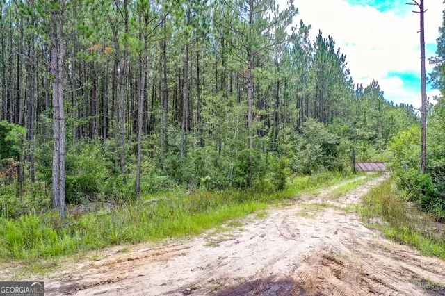 $1,380,030 | 0 Miller Hayes Road, Waycross, GA 31503