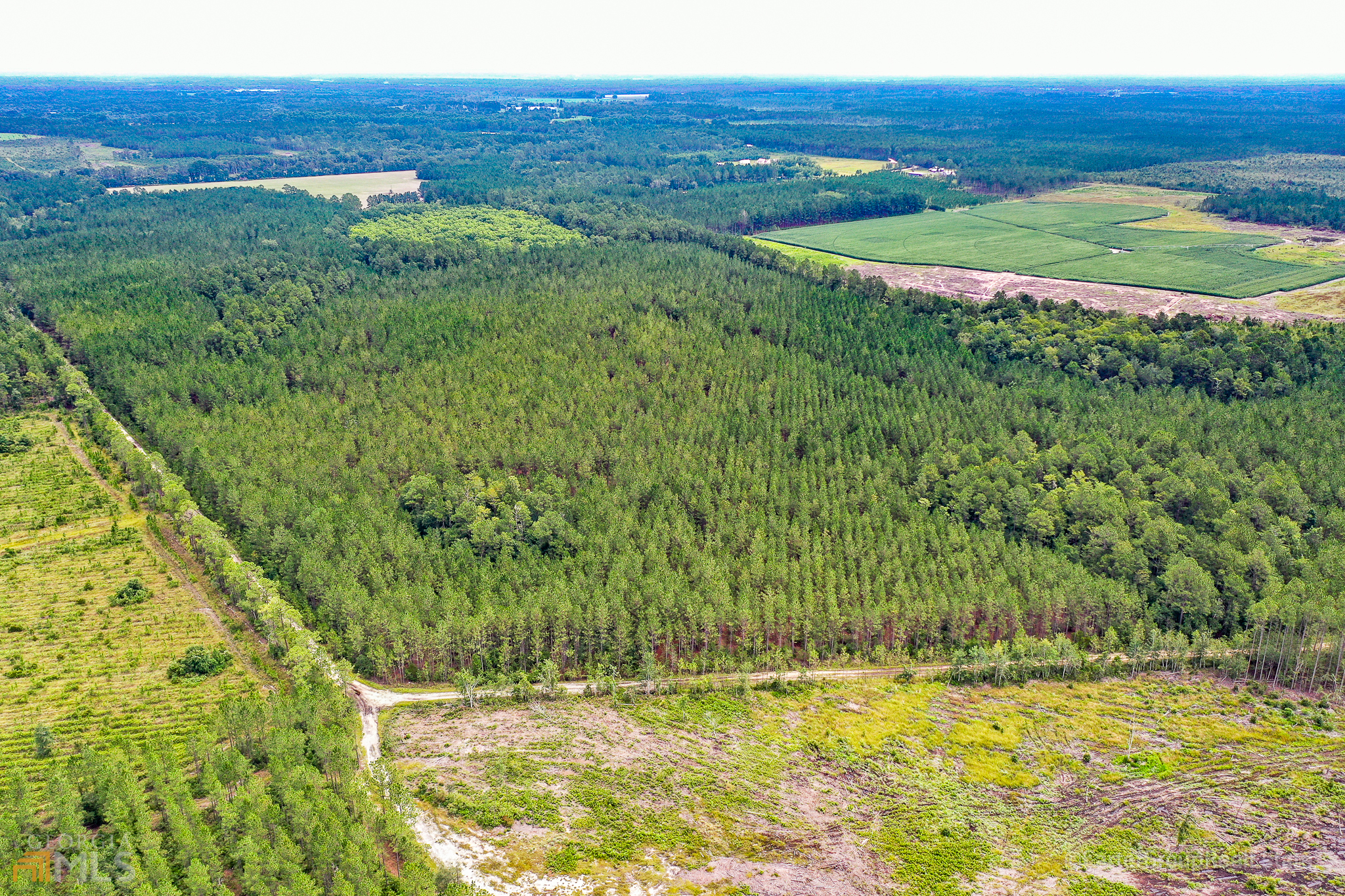 0 Miller Hayes Road Waycross, GA 31503 - Photo 11 of 19