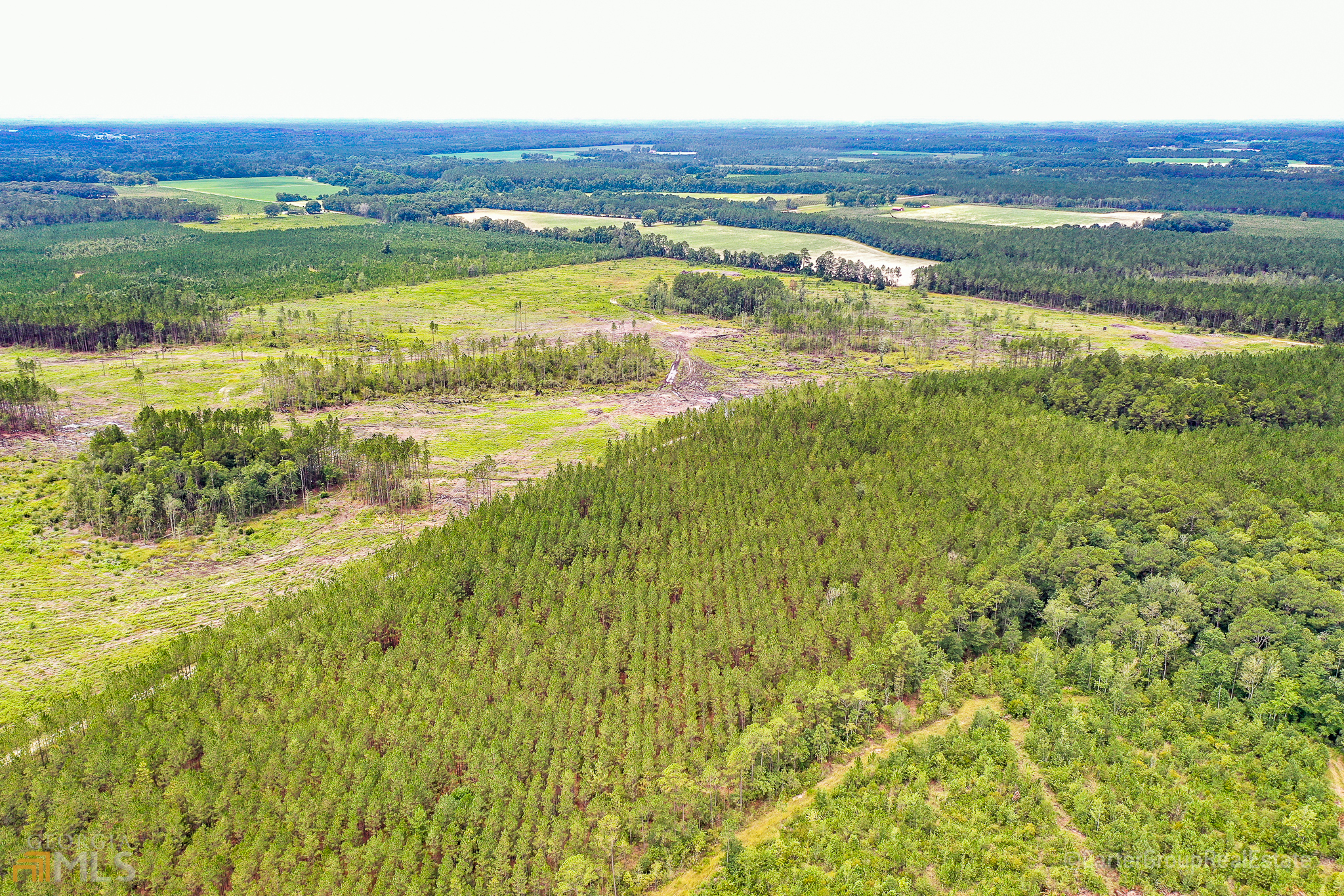 0 Miller Hayes Road Waycross, GA 31503 - Photo 12 of 19