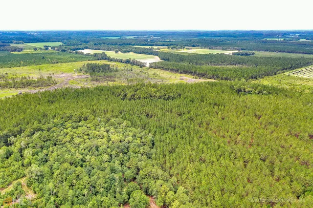 $1,380,030 | 0 Miller Hayes Road, Waycross, GA 31503