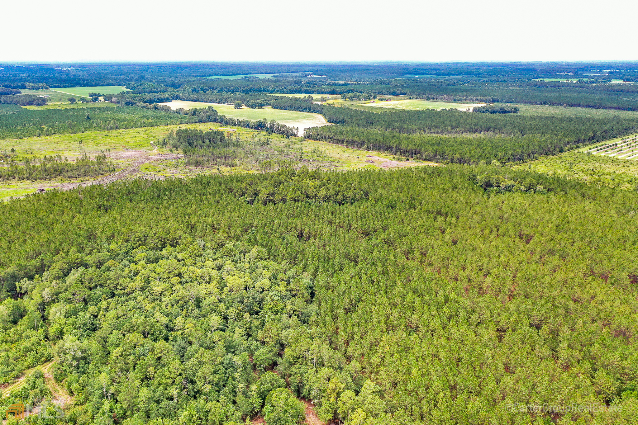 0 Miller Hayes Road Waycross, GA 31503 - Photo 13 of 19