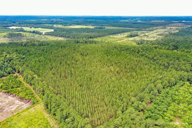 $1,380,030 | 0 Miller Hayes Road, Waycross, GA 31503