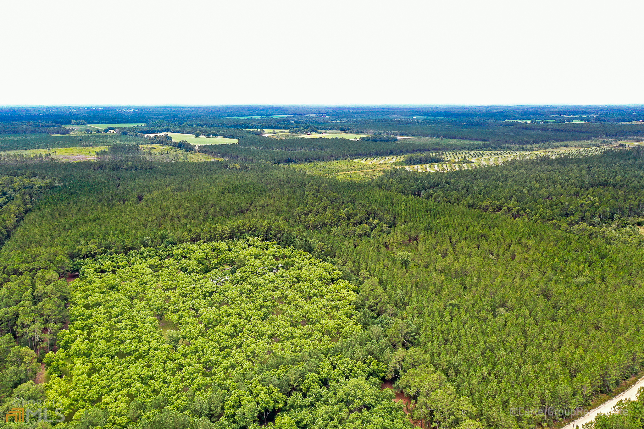 0 Miller Hayes Road Waycross, GA 31503 - Photo 16 of 19