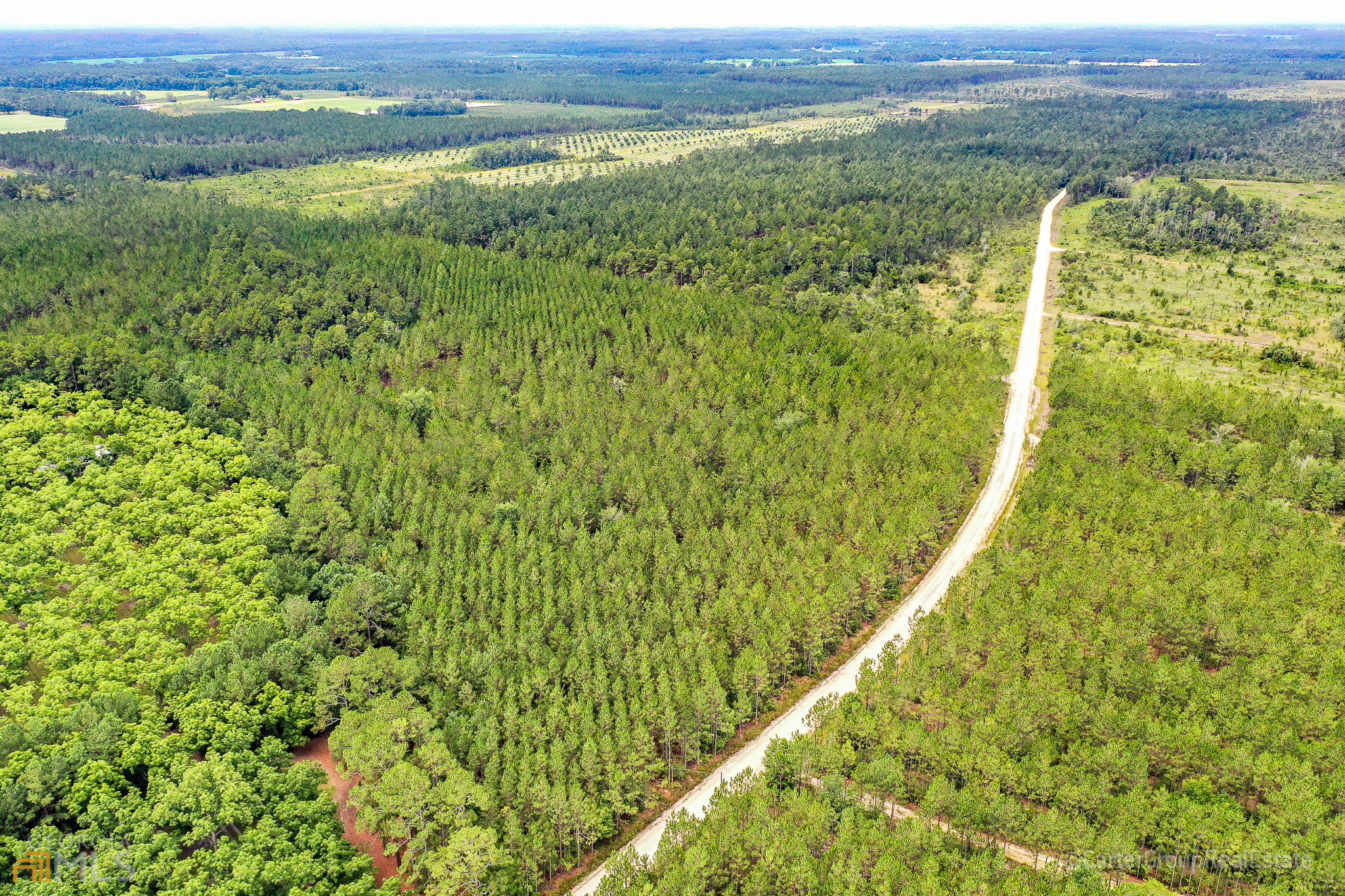 0 Miller Hayes Road Waycross, GA 31503 - Photo 17 of 19