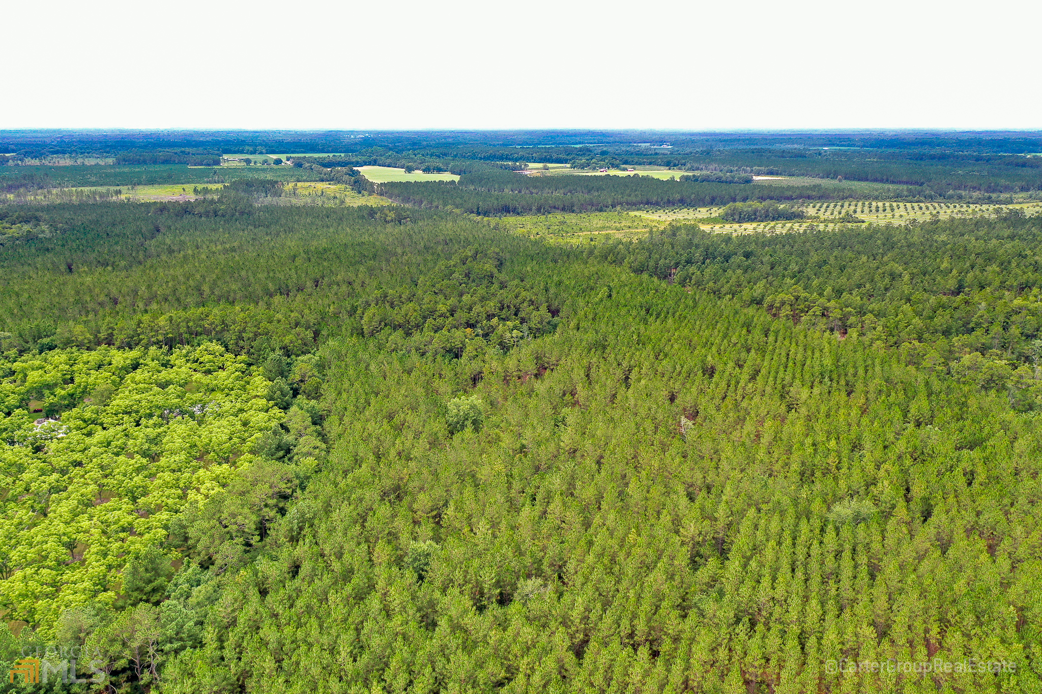 0 Miller Hayes Road Waycross, GA 31503 - Photo 18 of 19