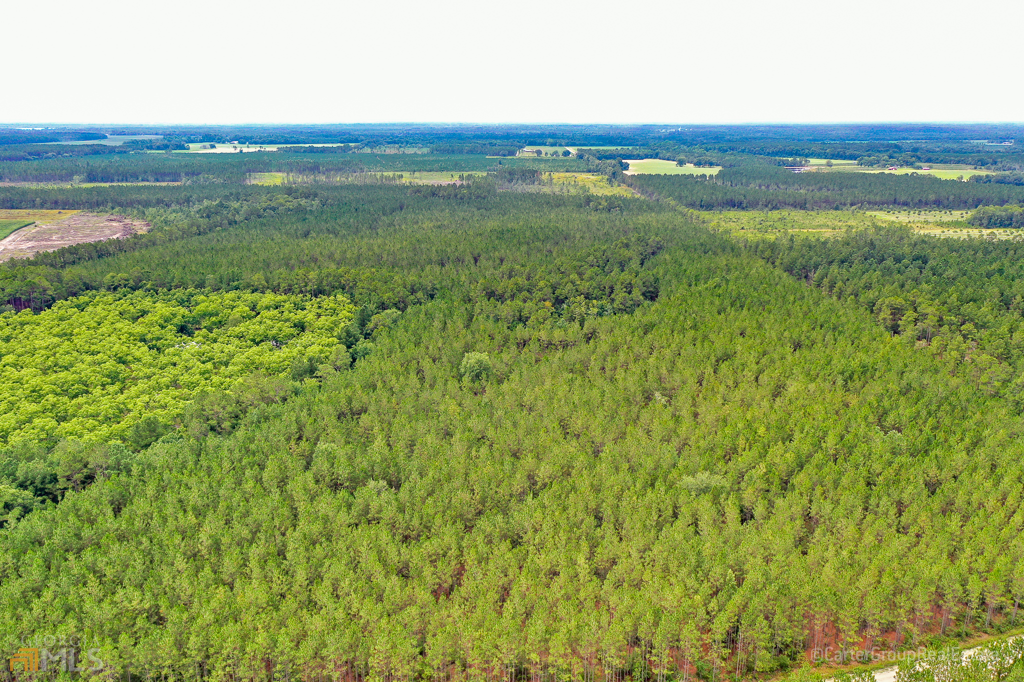 0 Miller Hayes Road Waycross, GA 31503 - Photo 19 of 19