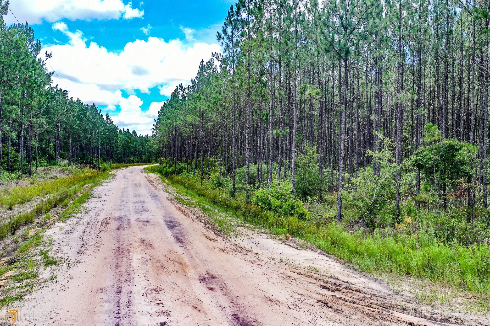 0 Miller Hayes Road Waycross, GA 31503 - Photo 2 of 19