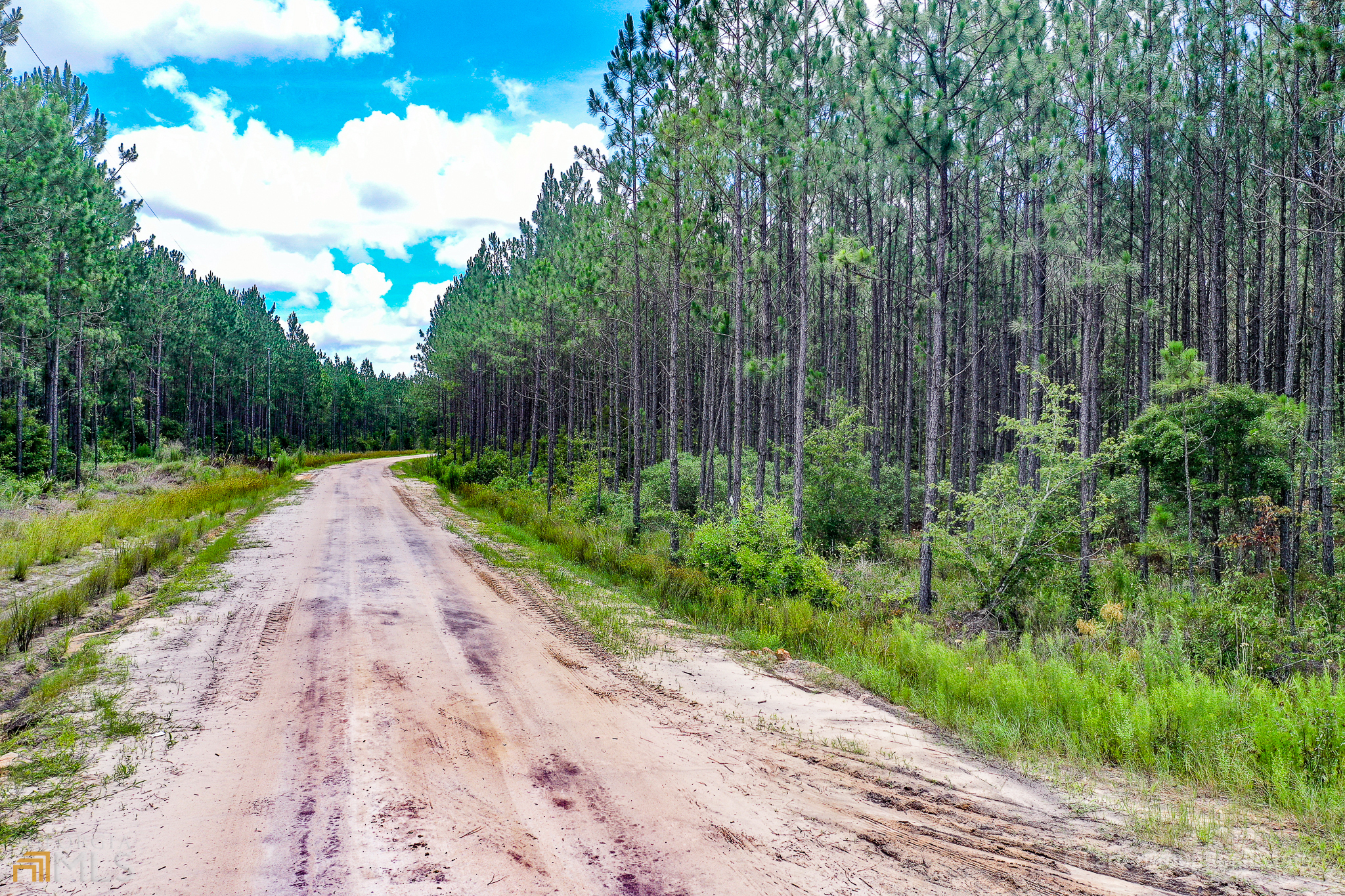 0 Miller Hayes Road Waycross, GA 31503 - Photo 3 of 19