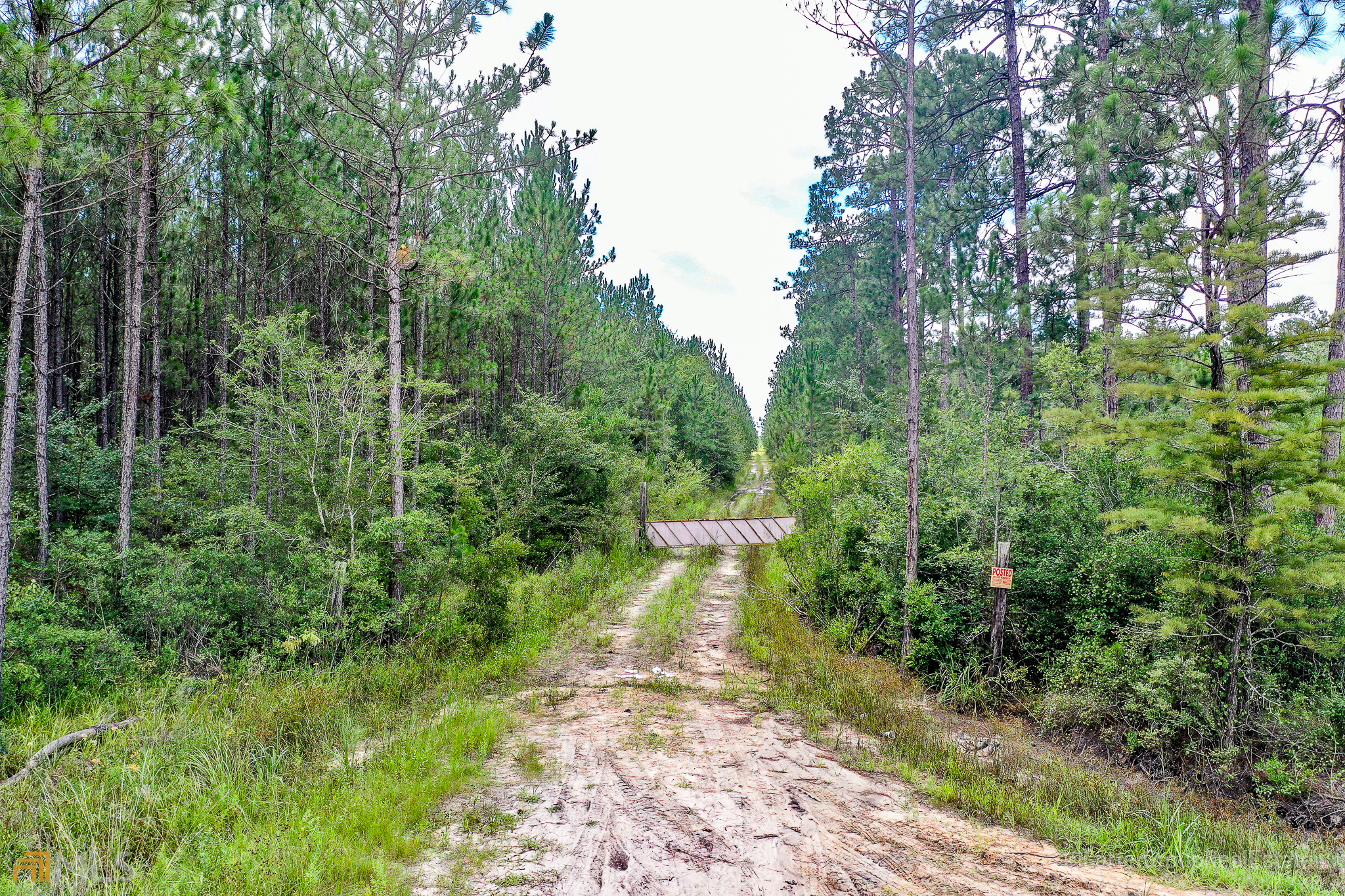 0 Miller Hayes Road Waycross, GA 31503 - Photo 4 of 19