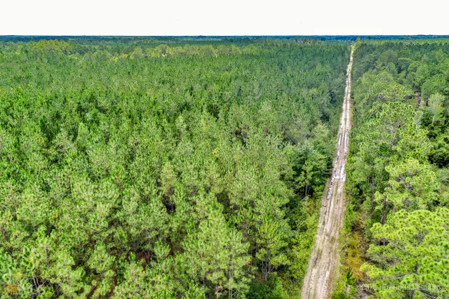 $1,380,030 | 0 Miller Hayes Road, Waycross, GA 31503