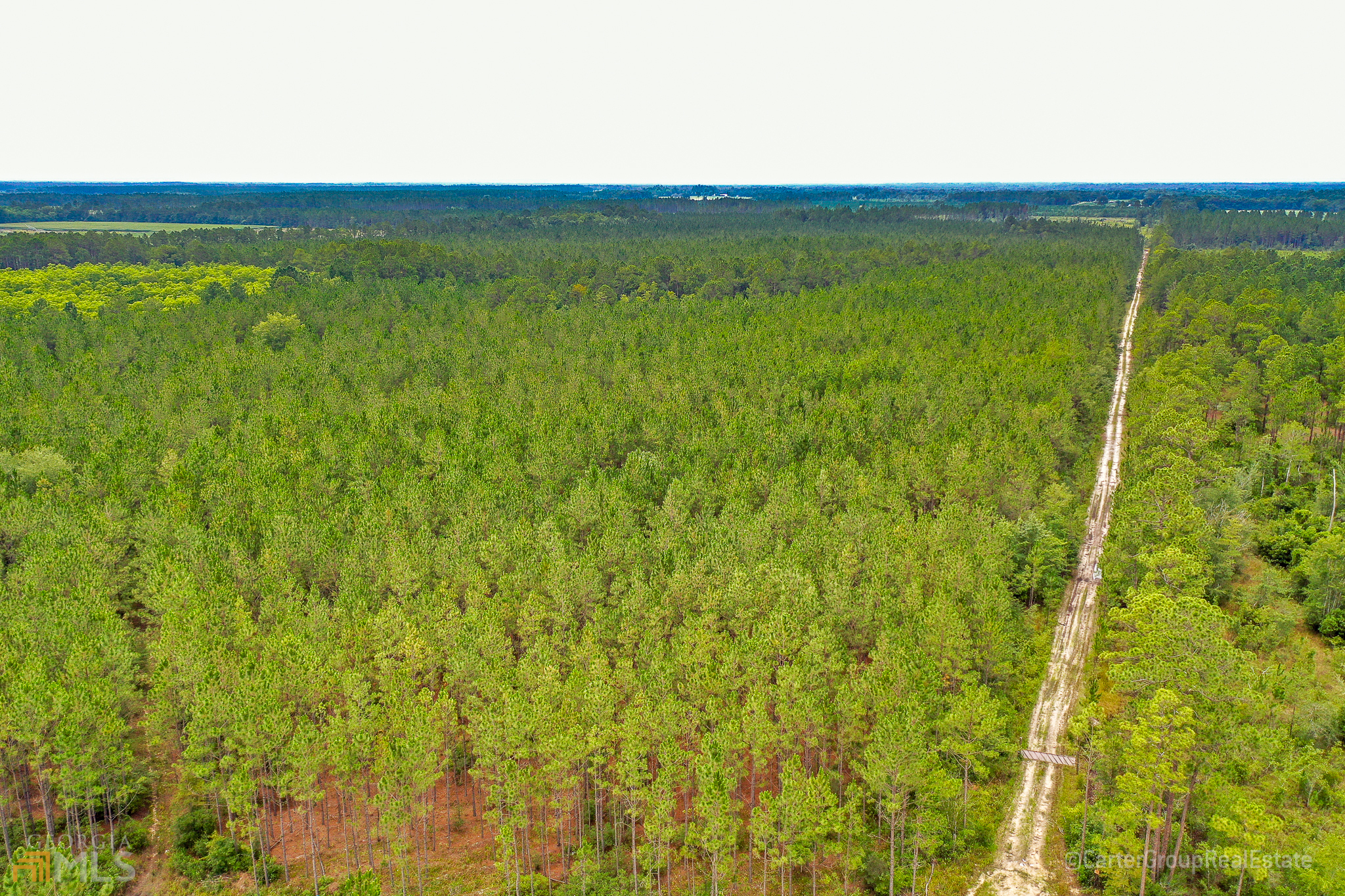 0 Miller Hayes Road Waycross, GA 31503 - Photo 6 of 19