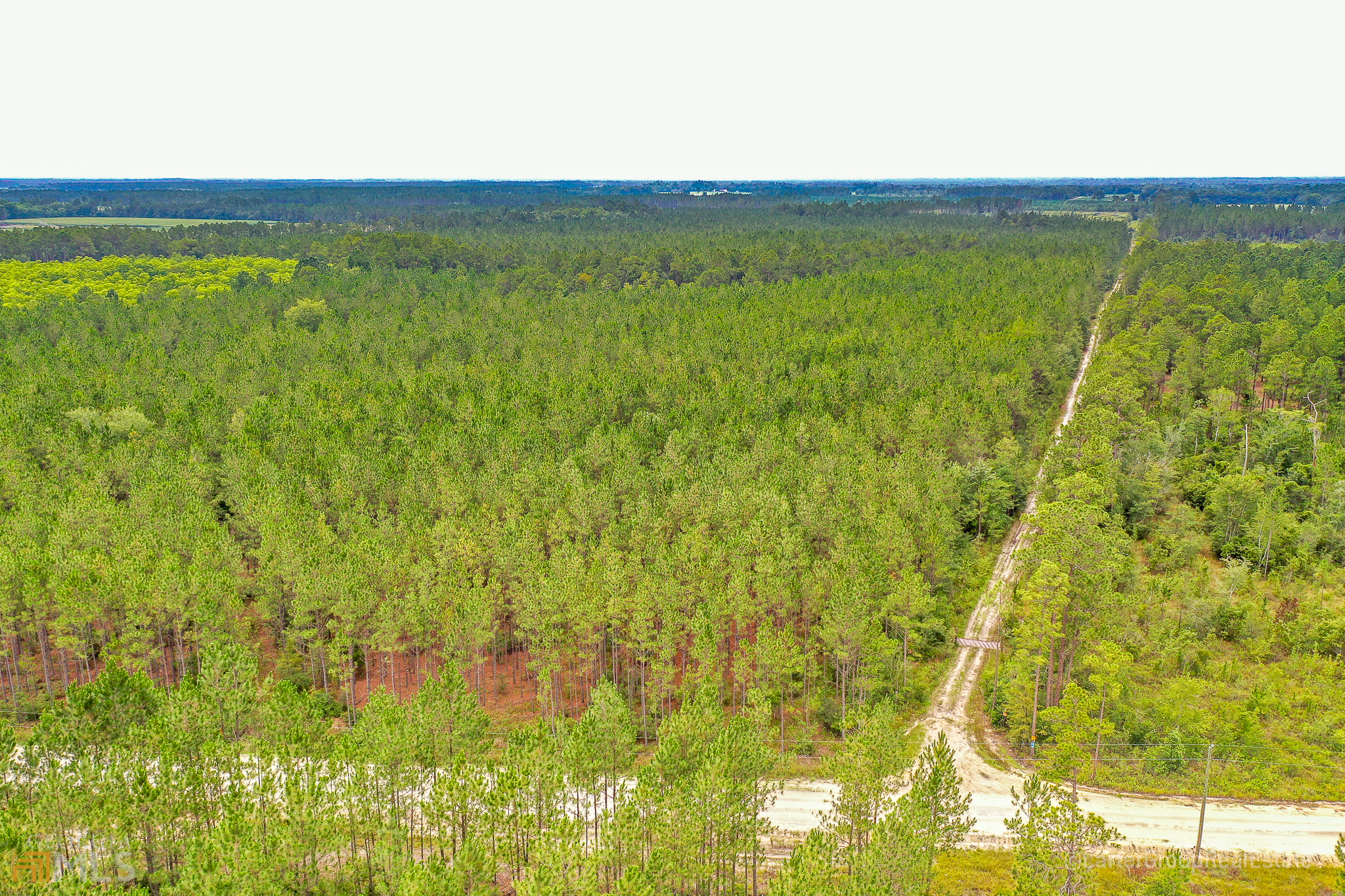 0 Miller Hayes Road Waycross, GA 31503 - Photo 7 of 19