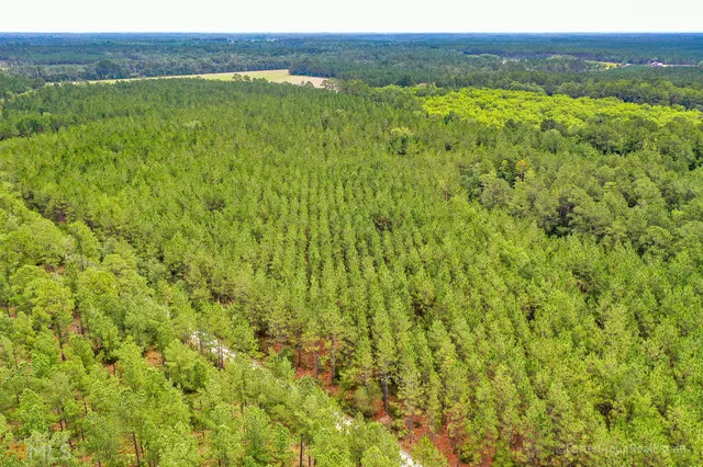 $1,380,030 | 0 Miller Hayes Road, Waycross, GA 31503