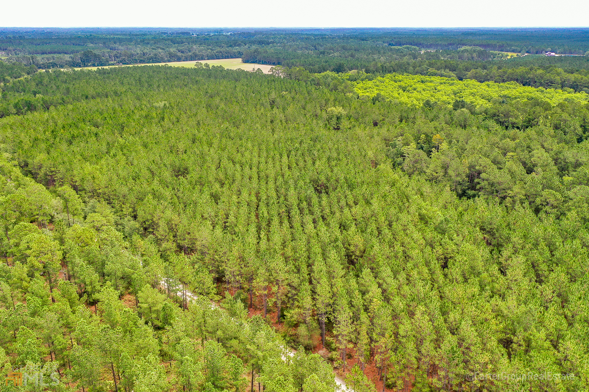 0 Miller Hayes Road Waycross, GA 31503 - Photo 8 of 19