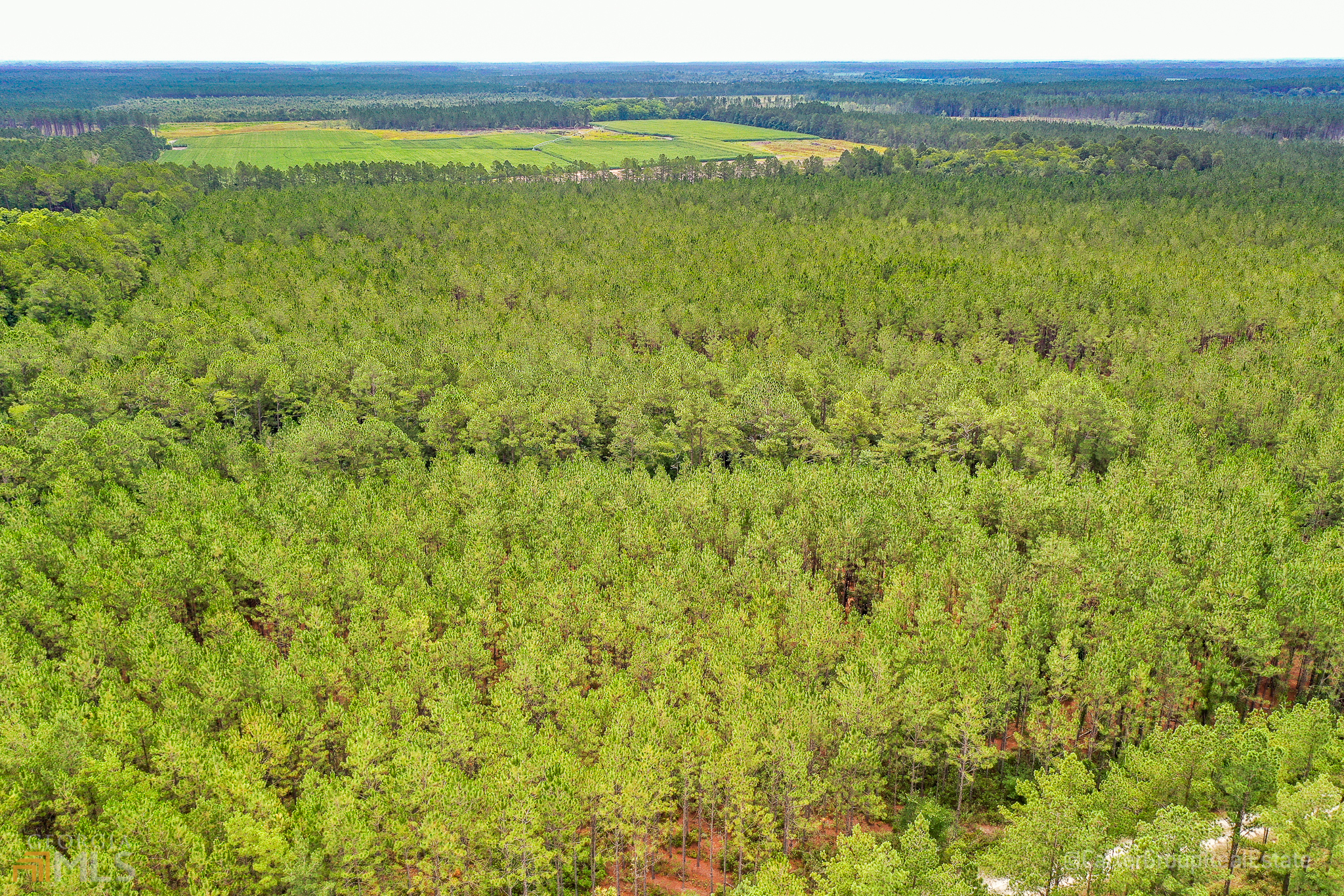 0 Miller Hayes Road Waycross, GA 31503 - Photo 9 of 19