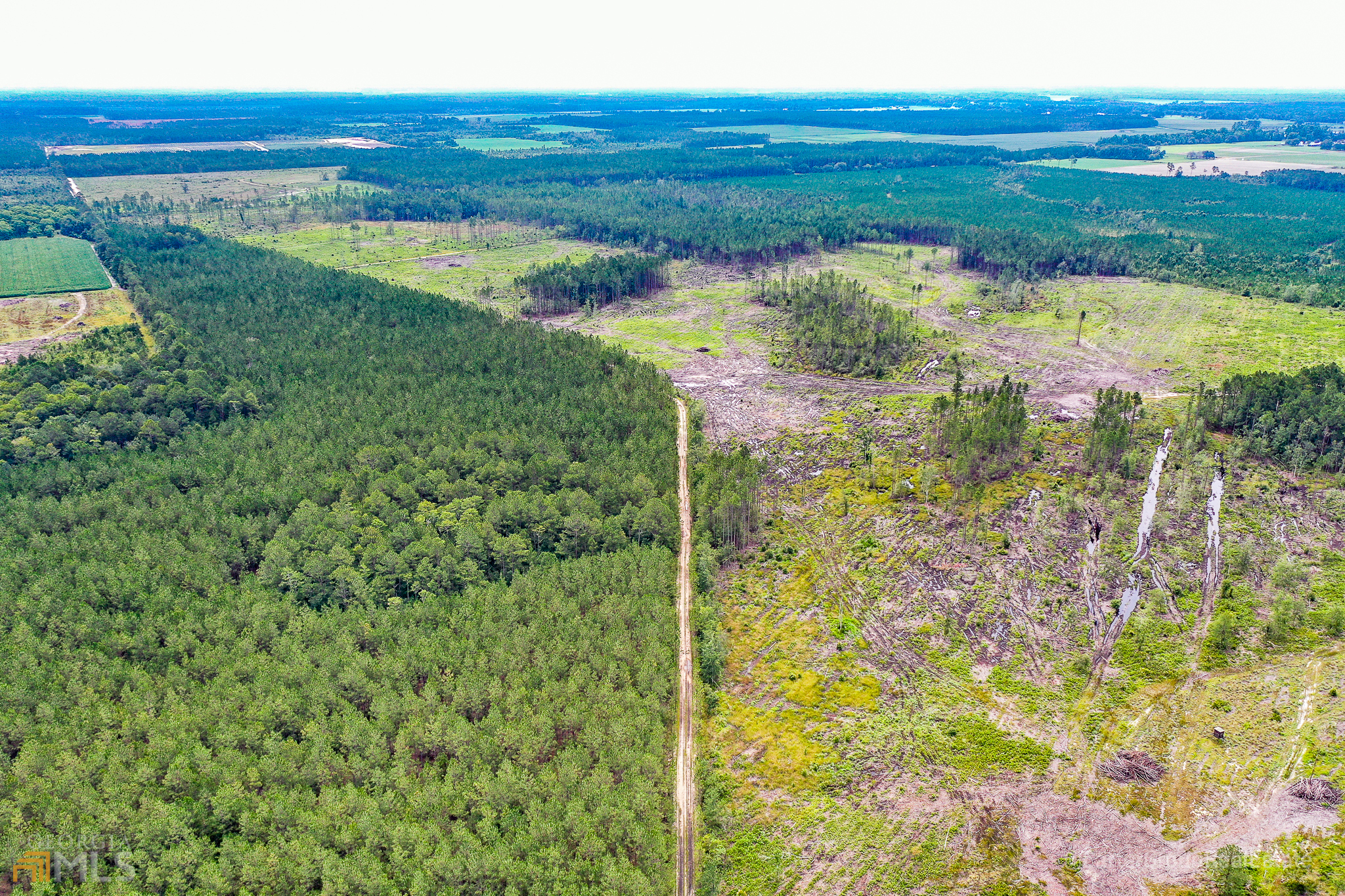 0 Miller Hayes Road Waycross, GA 31503 - Photo 10 of 19