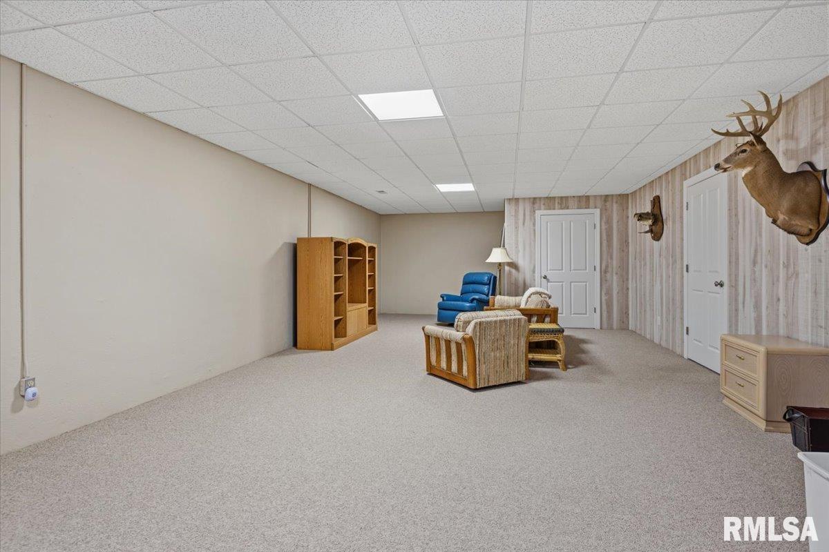 5635 Wagon Ford Road Chatham, IL 62629 - Photo 39 of 65