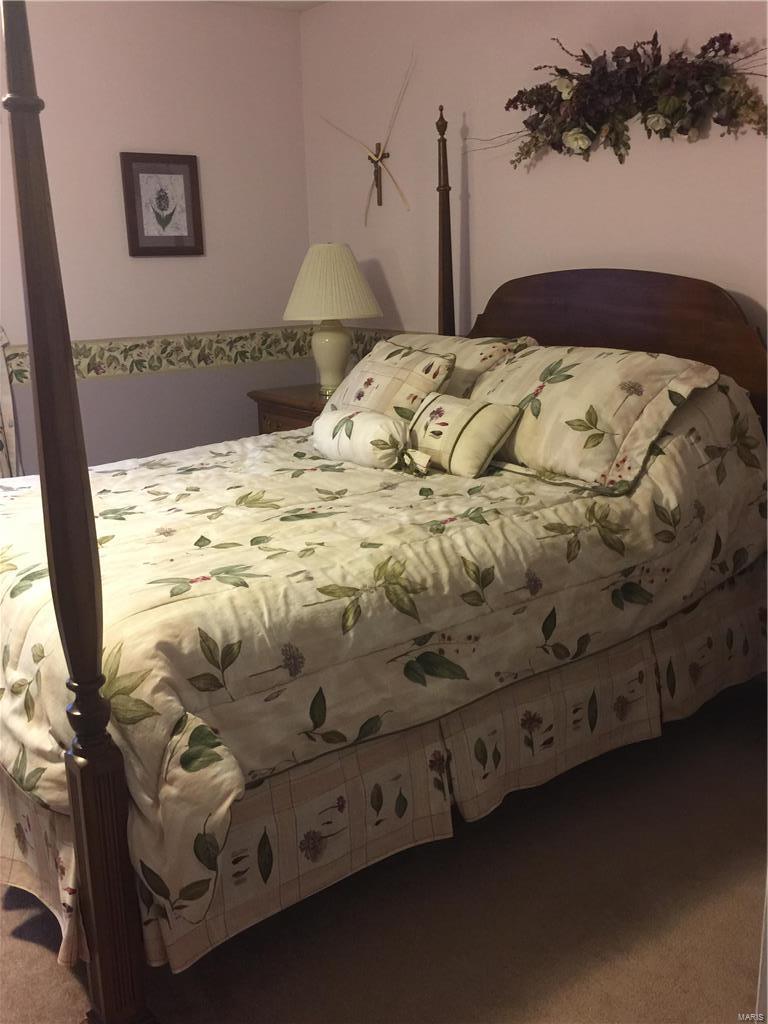 640 Painted Vista Drive Ballwin, MO 63021 - Photo 19 of 36