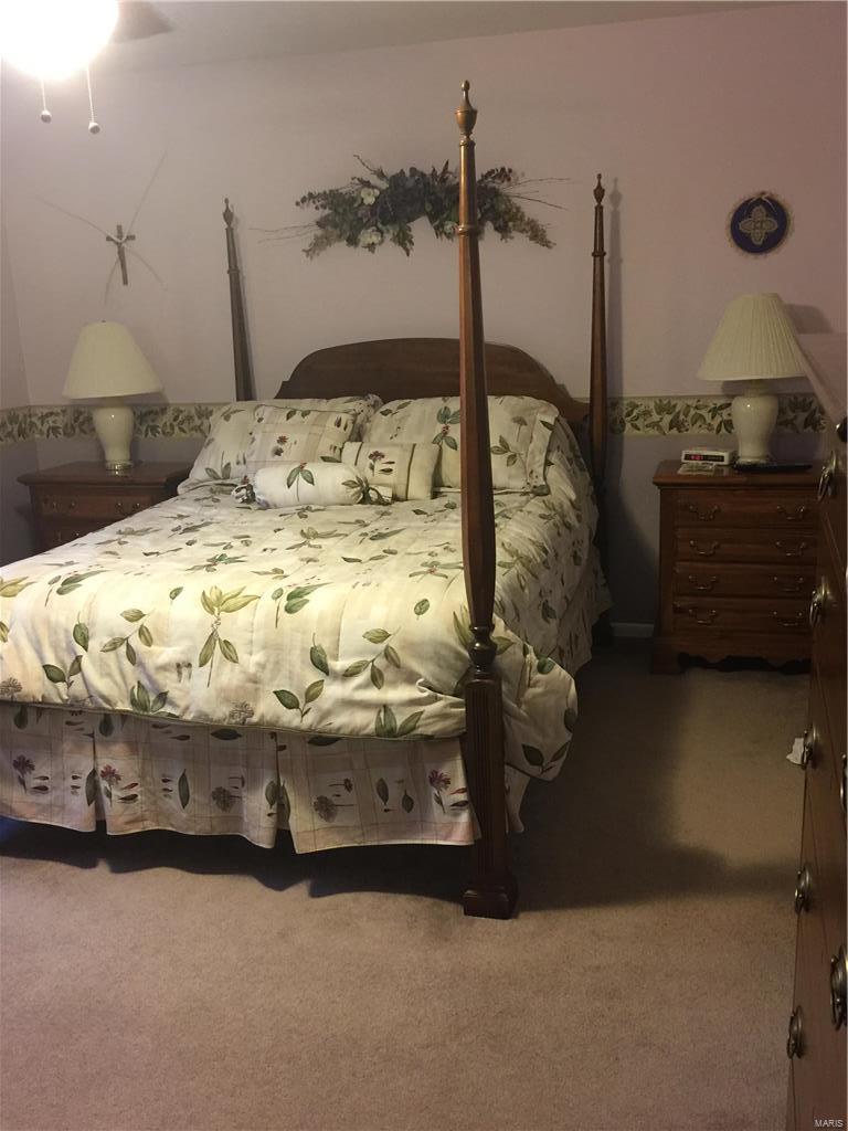 640 Painted Vista Drive Ballwin, MO 63021 - Photo 20 of 36