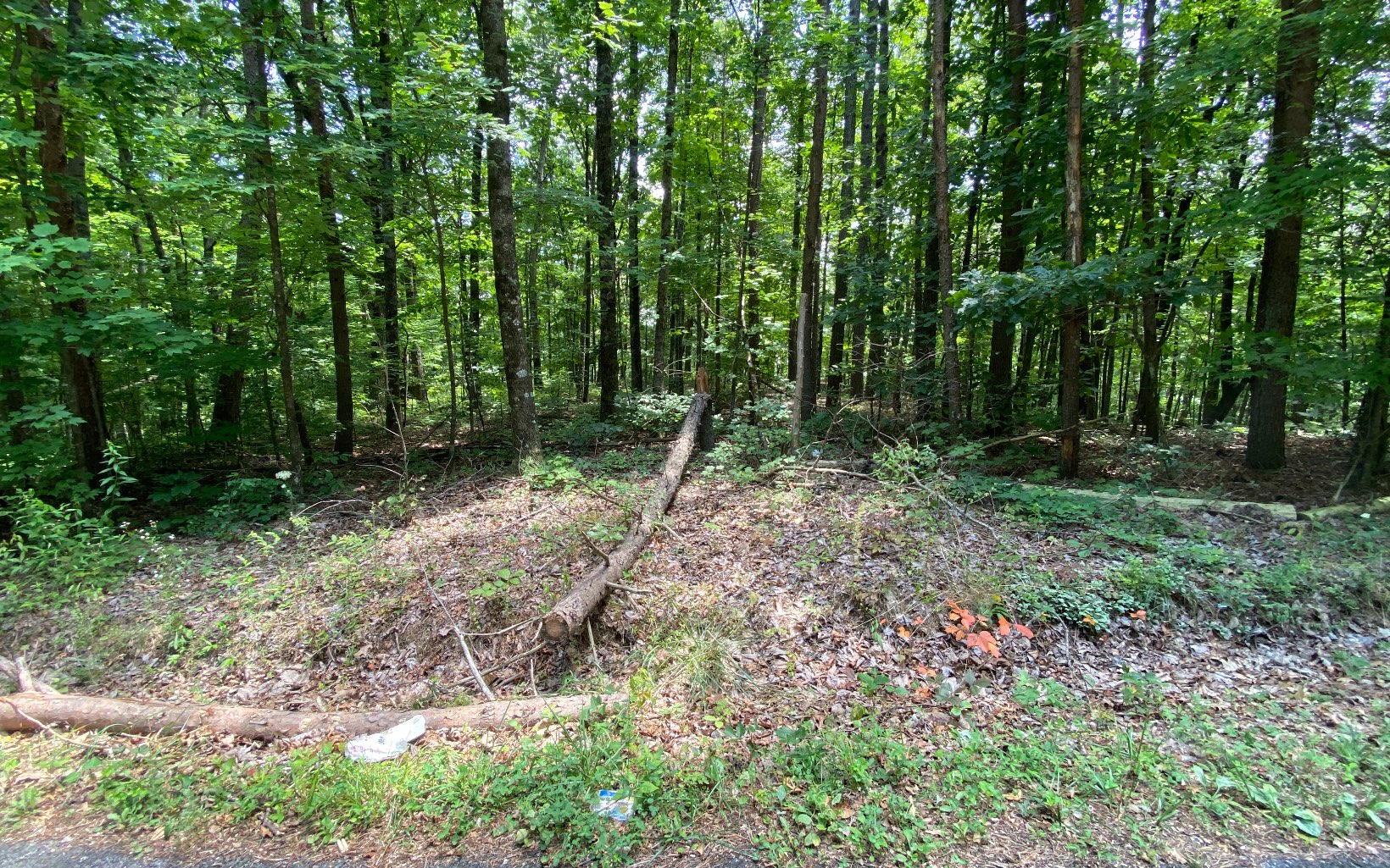 11 Raven Cliff Road Talking Rock, GA 30175 - Photo 2 of 4 Additional View