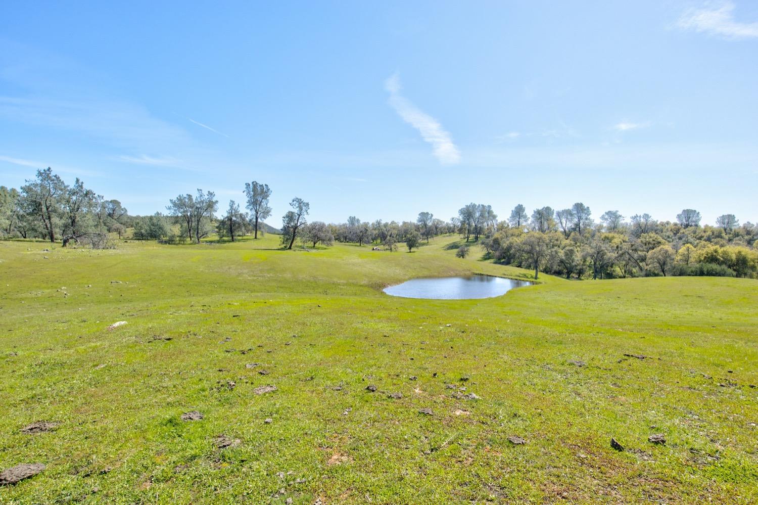 13012 Highway 124 Ione, CA 95640 - Photo 12 of 59