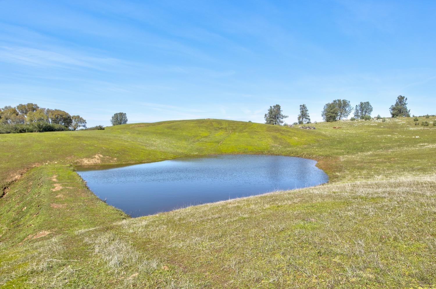 13012 Highway 124 Ione, CA 95640 - Photo 14 of 59