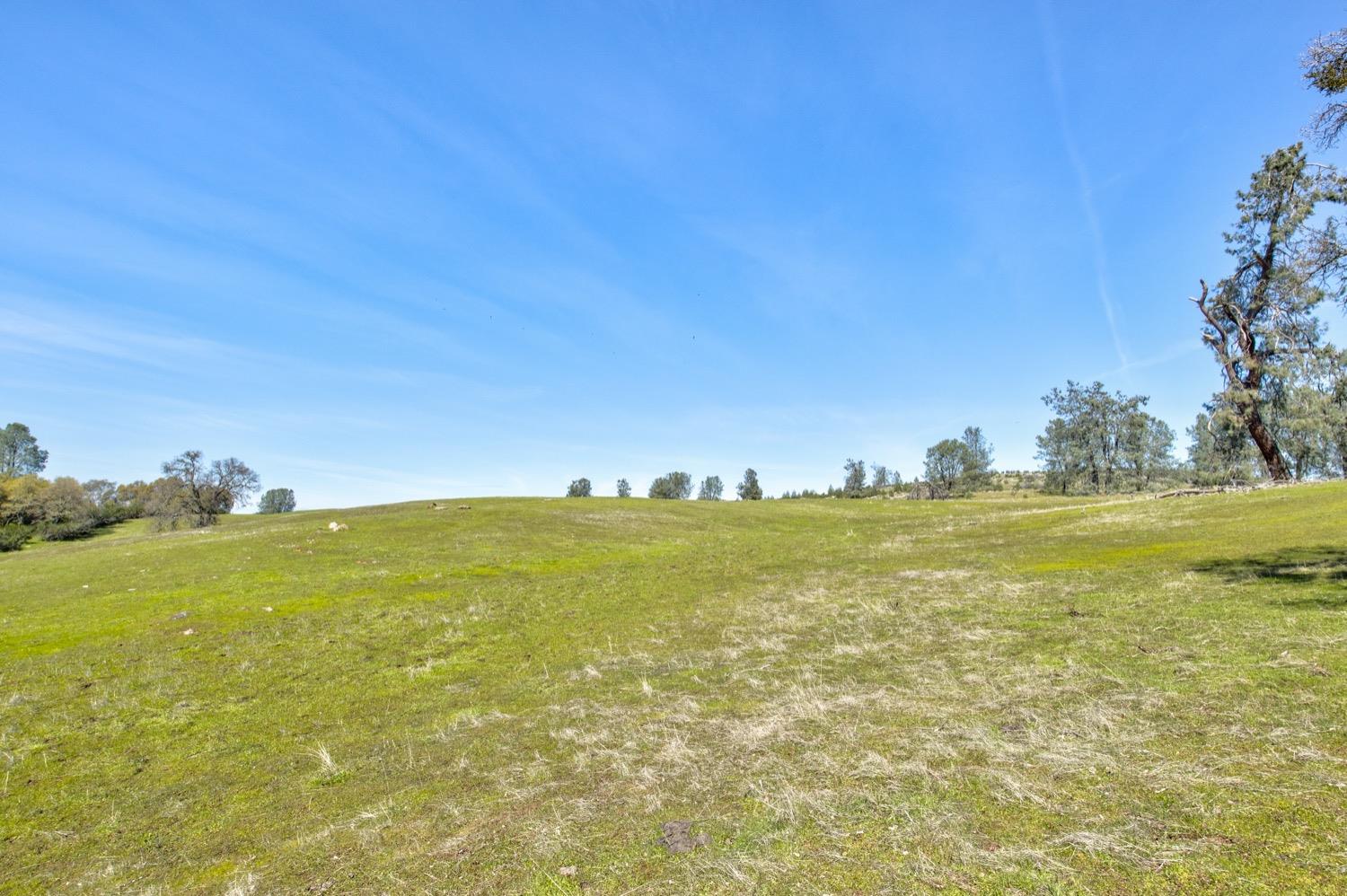 13012 Highway 124 Ione, CA 95640 - Photo 15 of 59 a view of an ocean