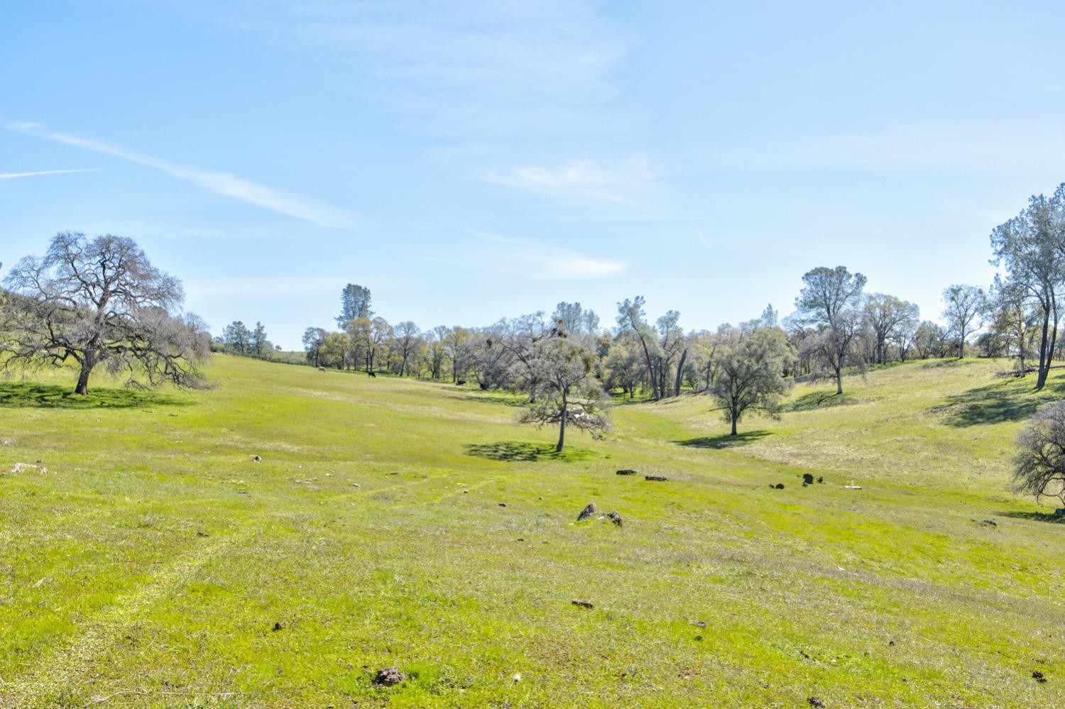 13012 Highway 124 Ione, CA 95640 - Photo 16 of 59 a view of an ocean view