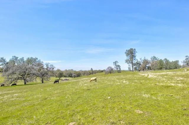 a view of a field with an ocean