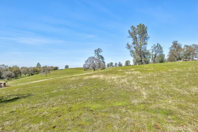 a view of field with trees in the background