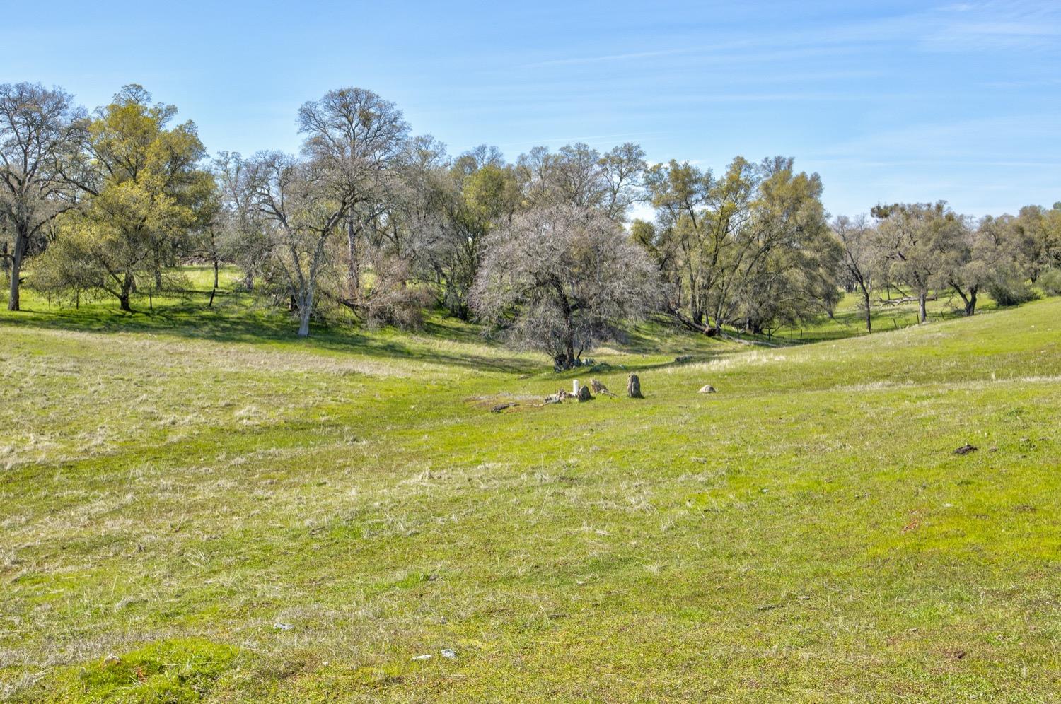 13012 Highway 124 Ione, CA 95640 - Photo 19 of 59 a view of a swimming pool with an outdoor space and seating area