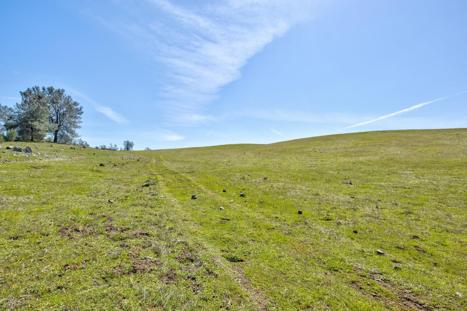 13012 Highway 124 Ione, CA 95640 - Photo 24 of 59 a view of an ocean view