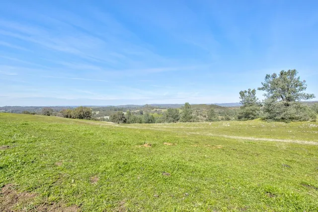 a yard with trees in the background