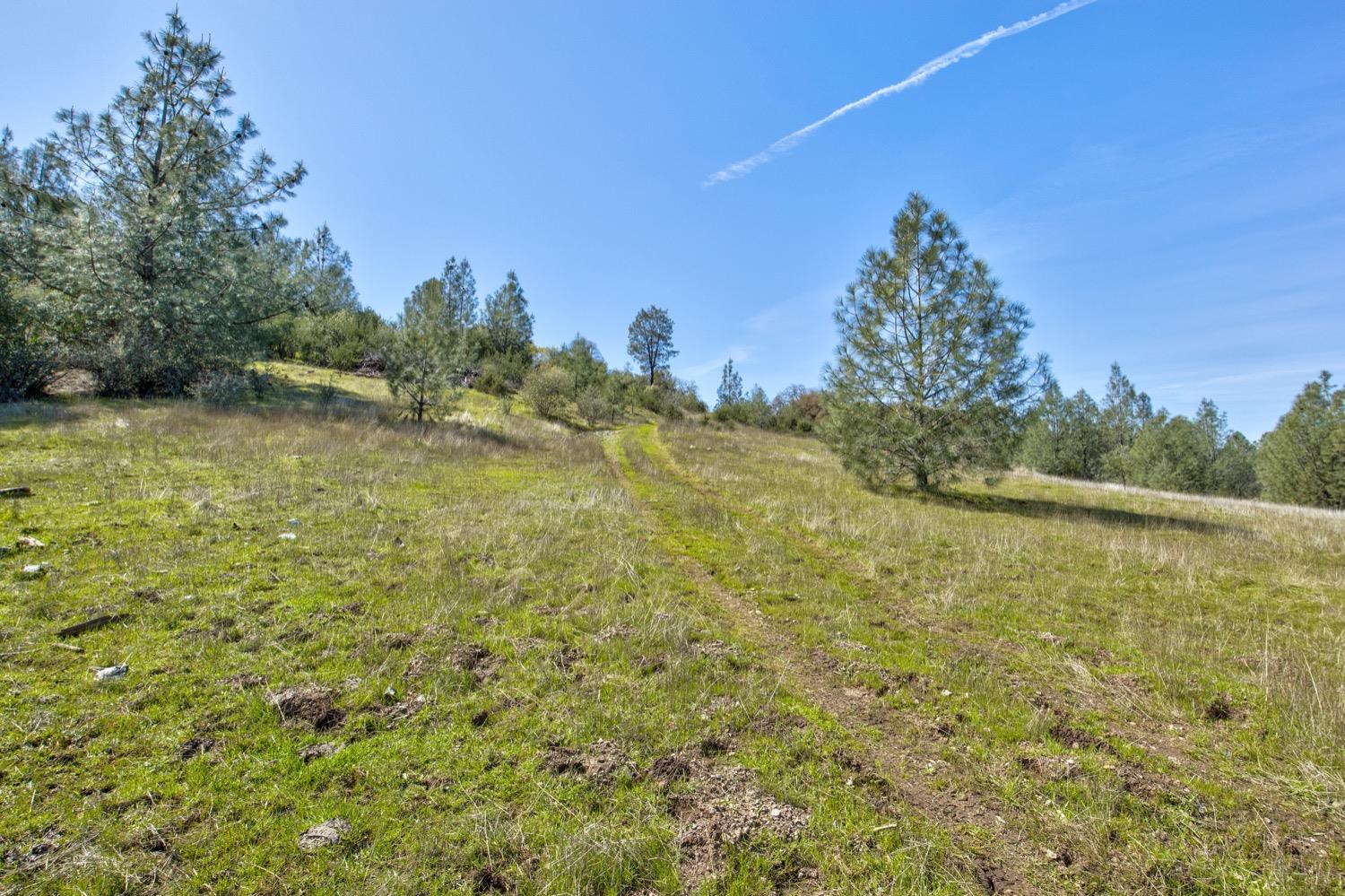 13012 Highway 124 Ione, CA 95640 - Photo 27 of 59 a view of a lake view