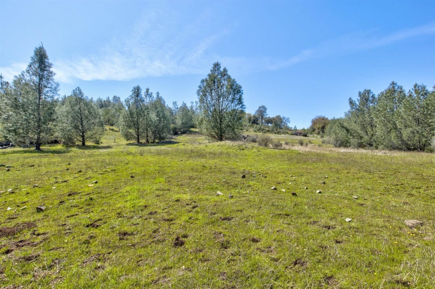 13012 Highway 124 Ione, CA 95640 - Photo 28 of 59 a yard with trees in the background