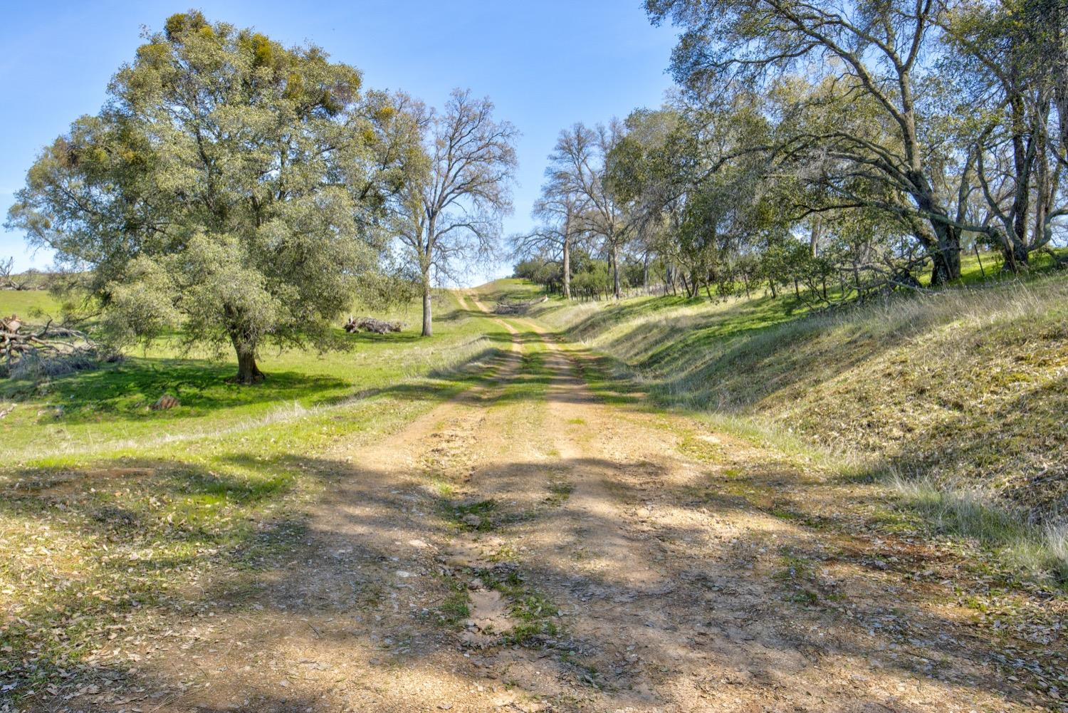 13012 Highway 124 Ione, CA 95640 - Photo 3 of 59 a view of swimming pool with a yard