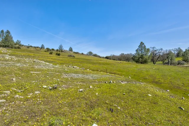 a view of a yard with mountain view