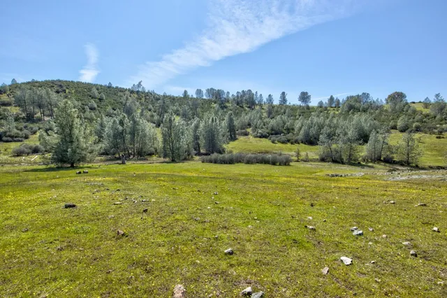 a view of a yard with an outdoor space