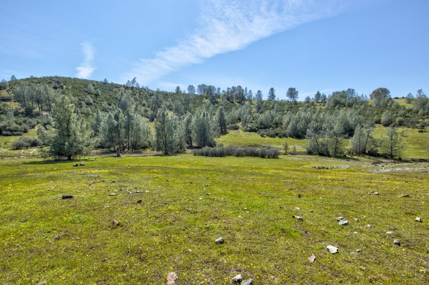 13012 Highway 124 Ione, CA 95640 - Photo 32 of 59 a view of outdoor space with mountain view