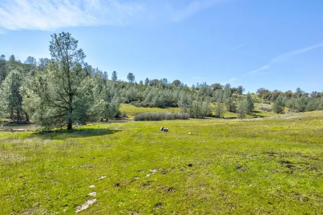 a view of a lake with a yard