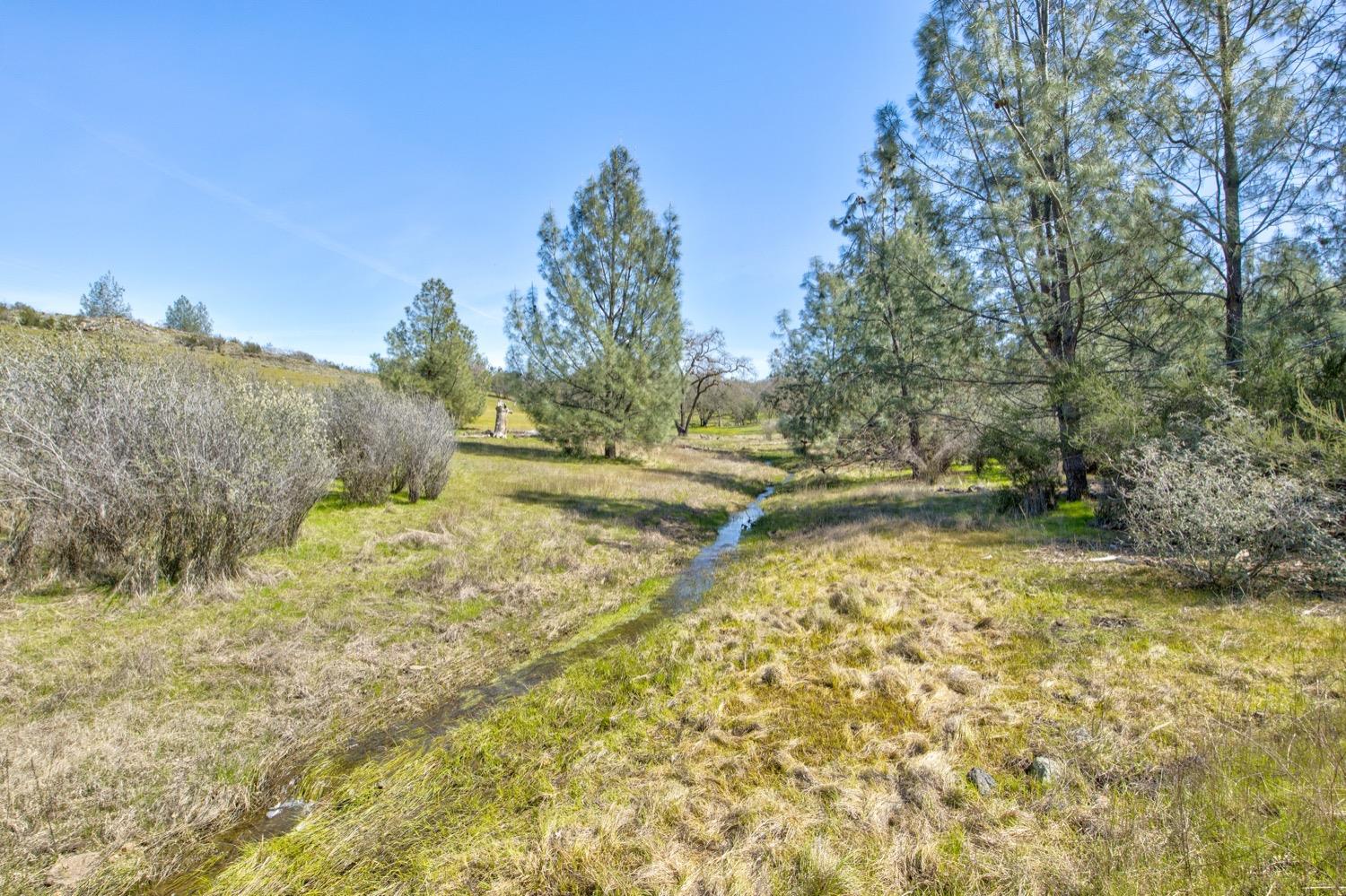 13012 Highway 124 Ione, CA 95640 - Photo 34 of 59 a view of a yard with mountain view